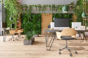 Écologie et Aménagement de Bureaux